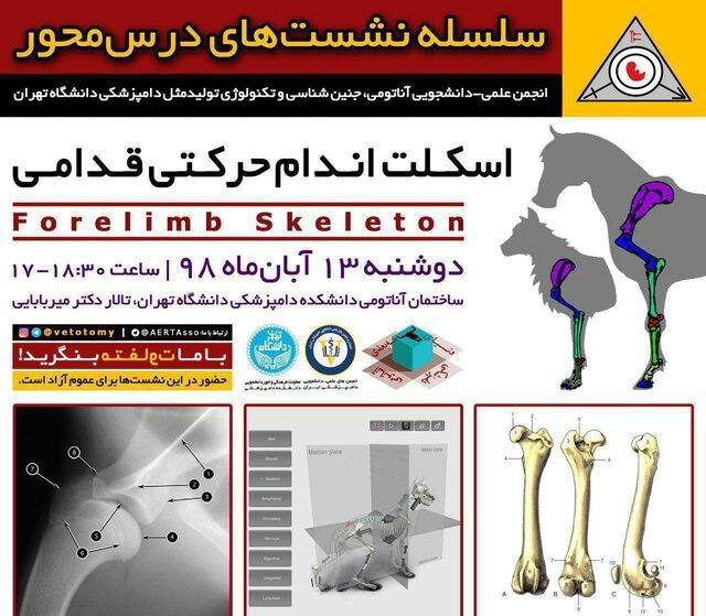 برگزاری نشست آناتومی اسکلت اندام حرکتی قدامی در دانشگاه تهران