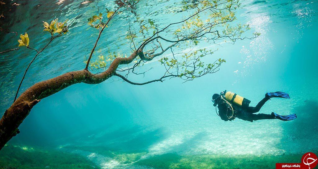 دانستنی هایی شگفت انگیز از عکاسی زیر آب
