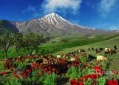 حمام روستای افجه، هنوز هم حمام است!