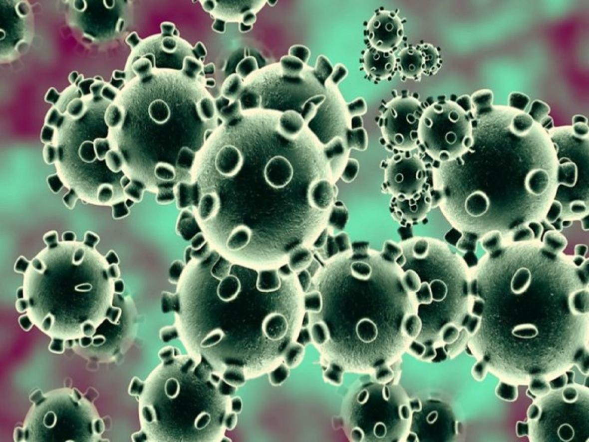 آیا کروناویروس زنده است؟