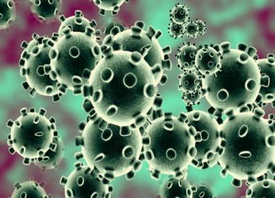 آیا کروناویروس زنده است؟