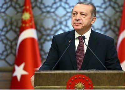 ترکیه به دنبال تحقق پیروزی در سوریه، عراق و لیبی است