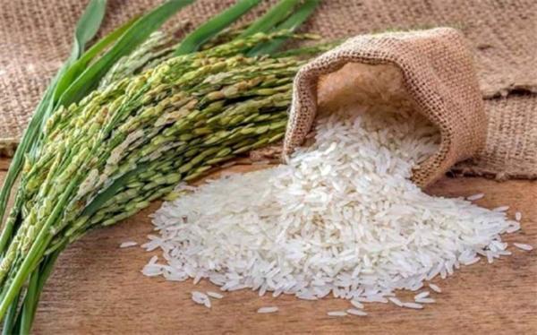 برنج خارجی قابل ردیابی است اما برنج ایرانی قابل احتکار است