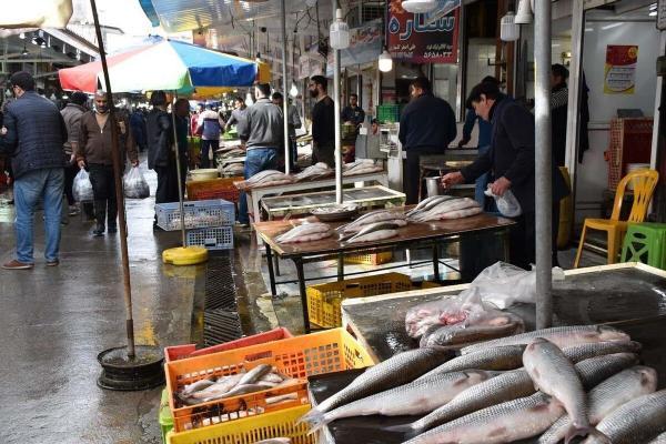 مصرف ماهی 50 درصد کاهش پیدا کرد، نرخ بعضی از ماهی های صیدی به 800 هزار تومان رسید